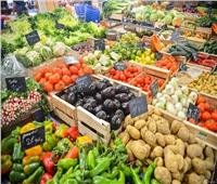  استقرار أسعار الخضروات اليوم الاثنين