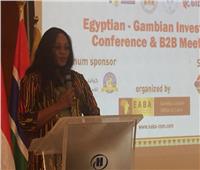 انطلاق مؤتمر الاستثمار المصري الجامبي بالقاهرة 