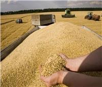 ارتفاع أسعار القمح عالميا وسط مخاوف على المعروض
