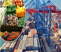 بشهادة دولية: صادرات مصر الزراعية تحقق أرقامًا قياسية