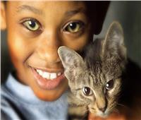 المؤتمر الدولي الخامس للعيون يحذر من "عين القط" عند الاطفال