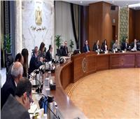 رئيس الوزراء يتابع مع وزير الرى نتائج زيارته لعدد من دول حوض النيل