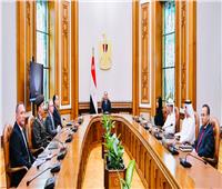 السيسي يستقبل الرئيس التنفيذي لمجموعة موانئ أبوظبي