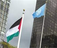 رفض دولي للتصعيد في فلسطين.. والأمم المتحدة تصف الوضع بـ"المأساوي"