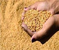 غرفة صناعة الحبوب تطالب بتوريد القمح حسب السعر العالمي