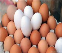 إستقرار أسعار البيض اليوم 