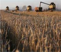 روسيا تضع شروط لتمديد اتفاق الحبوب وتعرض إرسال كميات مجانية إلى إفريقيا