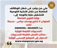 براتب 2700  .. "القوى العاملة" تعلن عن 3116 فرصة عمل في 11 محافظة