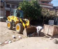 رئيس مدينة بيلا يتابع رفع القمامة وتشجير الشوارع 