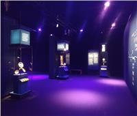 يضم 181 قطعة أثرية.. افتتاح معرض «رمسيس وذهب الفراعنة» اليوم في باريس