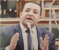 برلمانى :  «مصر والسودان» كيان واحد وشعب واحد يربطه النيل