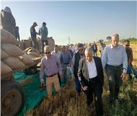 الزراعة: افتتاح حصاد محصولى الكتان والقمح بمحطة بحوث كفر الشيخ