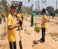 وزيرة البيئة: تنفيذ المرحلة الأولى من المبادرة الرئاسية «100 مليون شجرة»