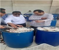 صحة الشرقية: إعدام أكثر من ٣ طن أغذية فاسدة وإغلاق ١٤ منشأة مخالفة