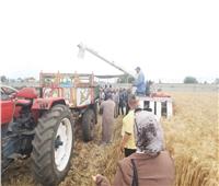  الحملة القومية للنهوض بمحصول القمح تنظم يوم حصاد في  الدقهلية 