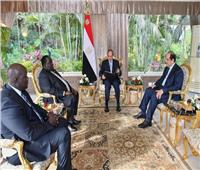 الرئيس السيسي يتسلم رسالة من سلفا كير بشأن تطورات الأوضاع في السودان   / صور وفيديو