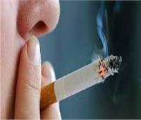 دراسة تؤكد : التدخين بأنتظام يوميا يقلص حجم الدماغ 