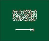 مجلس الوزراء السعودي يوافق على إتفاقية تعاون بين المملكة ومصر في "مكافحة الجريمة" 