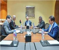 نائب وزير الخارجية للشئون الإفريقية يلتقي مع نائب رئيس المجلس الرئاسي الليبي