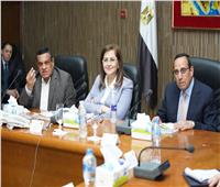 وزيرة التخطيط تستعرض جهود تحقيق التنمية في شمال سيناء