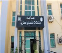 «معهد النباتات الطبية والعطرية».. الأول من نوعه في مصر والشرق الأوسط على أرض بني سويف