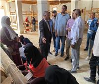 وزارة التخطيط تتابع معايير «القرية الخضراء» في محافظة الوادي الجديد 