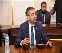 برلماني: كلمة مصر بالكوميسا تؤكد دورها المحوري في تعزيز التنمية مع أفريقيا