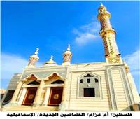 «الأوقاف»: افتتاح 13 مسجدًا اليوم الجمعة
