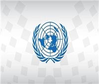 "حقوق الإنسان بالأمم المتحدة" يعتمد قرارا يدين الكراهية الدينية وتدنيس القرآن الكريم