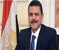  أبو اليزيد ": طفرة غير مسبوقة في الزراعة تضع مصر على خطى الاكتفاء الذاتي  من السلع الاستراتيجية 