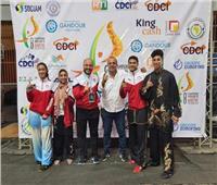 البطولة الأفريقية للكونغ فو| مصر تحصد 4 ميداليات ذهبية في اليوم الأول 
