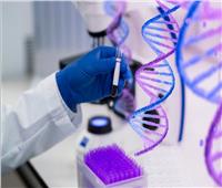   برنامج جديد عن"التكنولوجيا الحيوية والهندسة الوراثية" بجامعة حلوان الأهلية