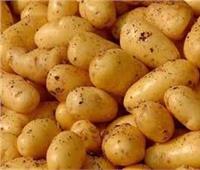 تعرف على استعدادات وزارة الزراعة لموسم محصول البطاطس وتصدير المنتج للخارج