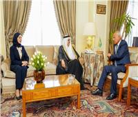 أبو الغيط يبحث مع وزير خارجية البحرين الجهود السياسية الدبلوماسية للجامعة العربية