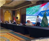 «القاهرة» تستضيف اجتماعات اللجنة المصرية السعودية المشتركة