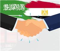 قضايا اقتصادية شائكة على طاولة المفاوضات بين مصر والسعودية    