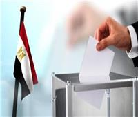 القرارات المنظمة للإنتخابات الرئاسية 2024.. تعرف عليها!