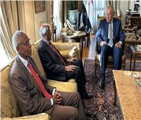 شكرى يلتقي مع وزير خارجية أريتريا والمستشار السياسي للرئيس 