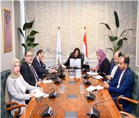  الهجرة وقطاع الأعمال يعقدان حوار مشترك مع المستثمرين المصريين بالخارج 