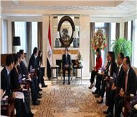 رئيس الوزراء يلتقي رئيس الوكالة الصينية للتعاون الإنمائي الدولي «سيدكا»
