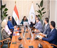 تعرف على خطة "وزارة الهجرة" في تطوير هيكلها  لخدمة المصريين بالخارج 