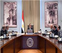 رئيس الوزراء يبحث سبل تنمية الصادرات المصرية إلى بلدان القارة الإفريقية