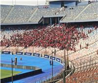 توافد جماهير الأهلي على استاد القاهرة استعدادا سيمبا التنزانى 