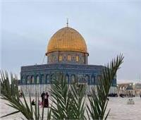 خبير أثري يكشف أهمية القدس عبر العصور القديمة