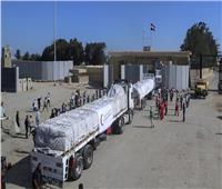 دخول 60 شاحنة مساعدات من معبر رفح إلى قطاع غزة