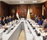 آمنة والبنك الدولي يبحثان الموقف التنفيذي لبرنامج التنمية المحلية بصعيد مصر