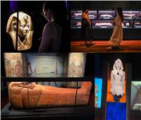 افتتاح معرض «رمسيس وذهب الفراعنة» بمتحف استراليا للجمهور.. غدا| صور
