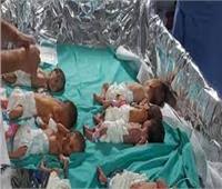 الصحة العالمية تجلي الأطفال "الخدج" من مستشفي الشفاء بغزة