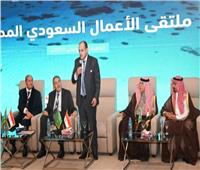 وزير التجارة: توفير كافة أوجه الدعم للاستثمارات المحلية والأجنبية بالسوق المصرية 