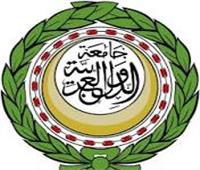 المالكى : الجامعة العربية تنفذ الخطة  الإستراتيجية للأمن المائي في المنطقة